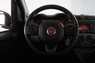 FIAT Panda usata 12
