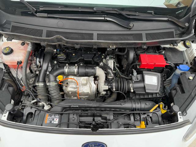 FORD Transit Courier usata 18