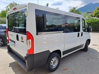 FIAT Ducato usata, con Servosterzo