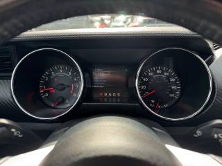 FORD Mustang usata, con Interni in pelle