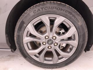 FORD Focus usata, con Sensore di pioggia