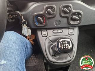 FIAT Panda usata, con Immobilizzatore elettronico
