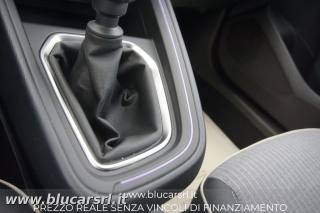 RENAULT Clio usata 20