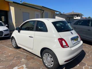 FIAT 500 usata 5