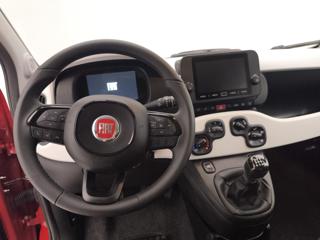 FIAT Pandina usata, con Fendinebbia