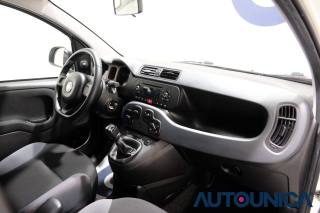 FIAT Panda usata 44