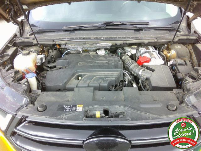 FORD Edge usata, con Sedile posteriore sdoppiato