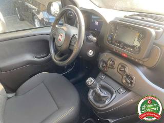 FIAT Panda usata, con Immobilizzatore elettronico