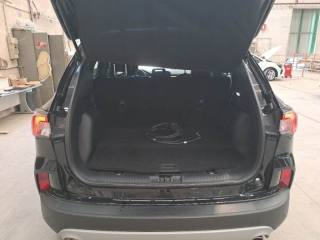 FORD Kuga usata, con Cronologia tagliandi