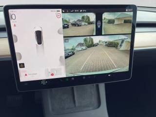TESLA Model Y usata, con Cruise Control