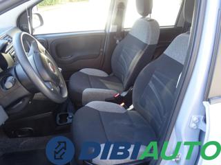 FIAT Panda usata, con Controllo trazione