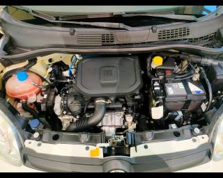 FIAT New Panda usata 18