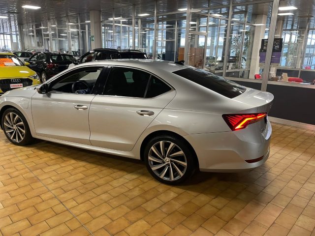 SKODA Octavia usata, con Fendinebbia