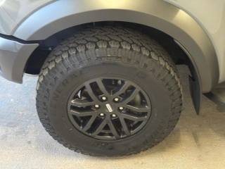 FORD Ranger usata, con Adaptive Cruise Control