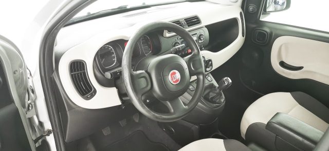 FIAT Panda usata 42