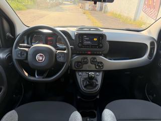 FIAT Panda usata, con Immobilizzatore elettronico