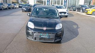 FIAT Panda usata, con Airbag