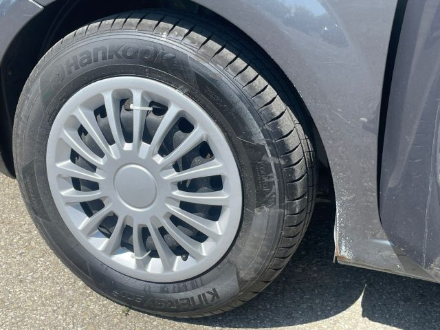 FIAT Punto usata 13