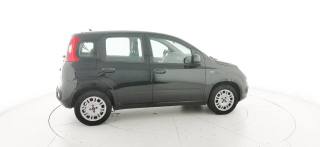 FIAT Panda usata 39