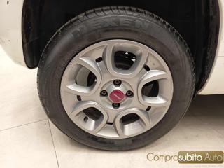 FIAT Panda usata 12