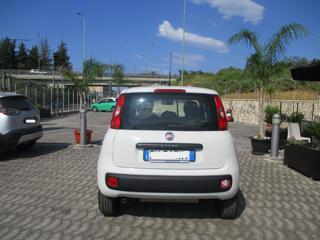 FIAT Panda usata, con Cerchi in lega