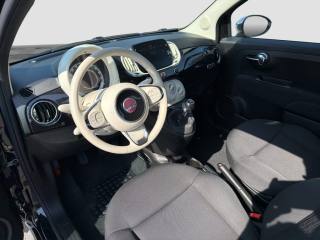 FIAT 500 usata 8