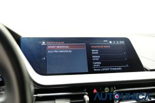 BMW 220 usata, con Controllo elettronico della corsia