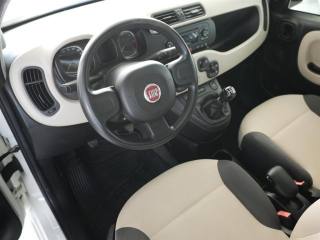 FIAT Panda usata, con Servosterzo