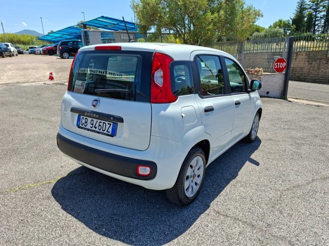 FIAT Panda usata 5