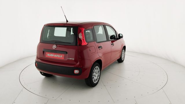 FIAT Pandina usata, con Climatizzatore