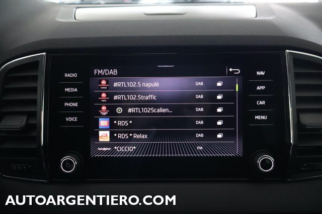 SKODA Karoq usata, con Cronologia tagliandi