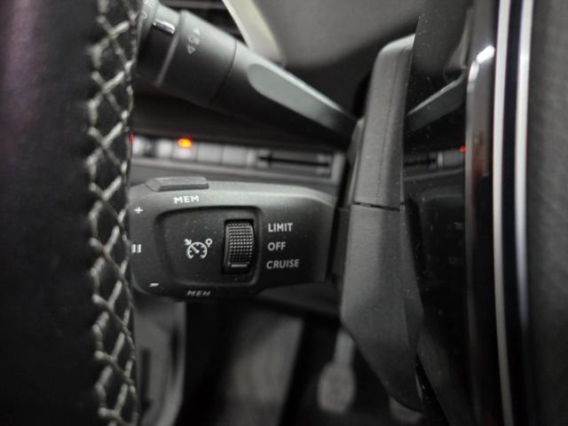 PEUGEOT 3008 usata, con Alzacristalli elettrici