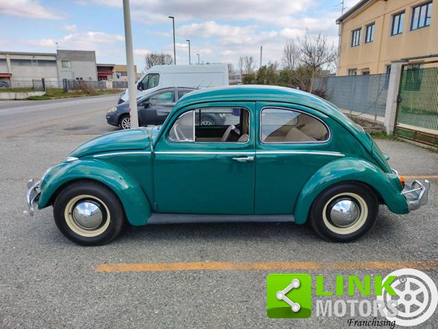 VOLKSWAGEN Maggiolino usata 7