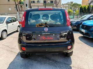 FIAT Panda usata, con Antifurto