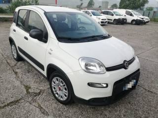 FIAT Panda usata, con Airbag