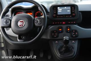 FIAT Panda usata 14