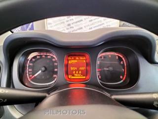 FIAT Panda usata 14