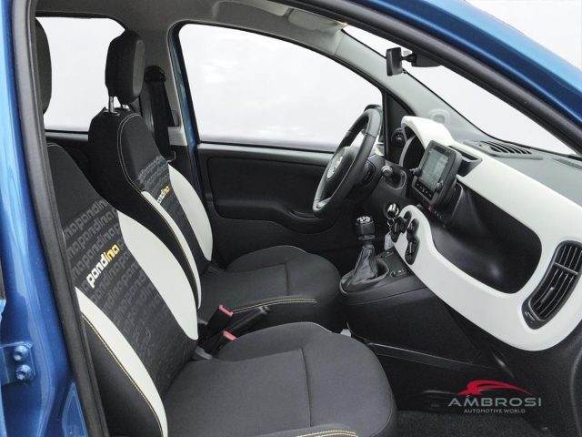 FIAT Panda usata 11