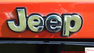 JEEP Renegade usata 51