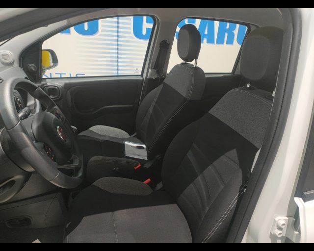 FIAT New Panda usata 16