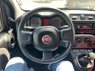 FIAT Panda usata, con Controllo trazione