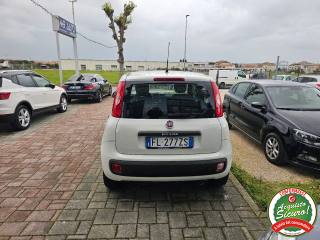 FIAT Panda usata, con Alzacristalli elettrici