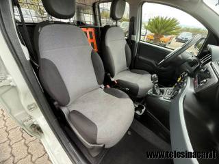 FIAT Panda usata 12