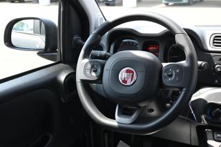 FIAT Panda usata, con Volante multifunzione