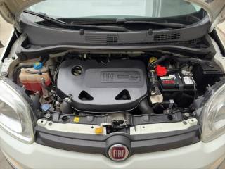 FIAT Panda usata 24