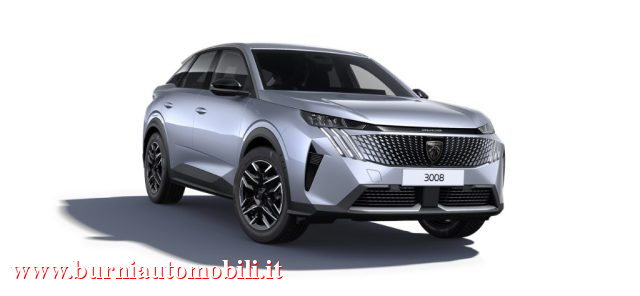 PEUGEOT 3008 usata, con Cerchi in lega