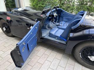 JAGUAR XK usata 4