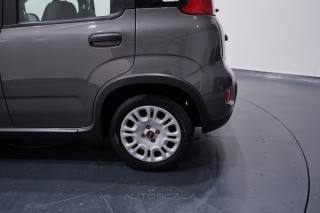 FIAT New Panda usata, con Isofix