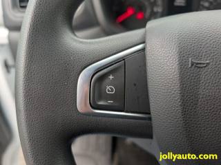 RENAULT Master usata 23
