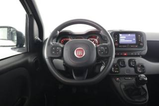 FIAT Panda usata 11